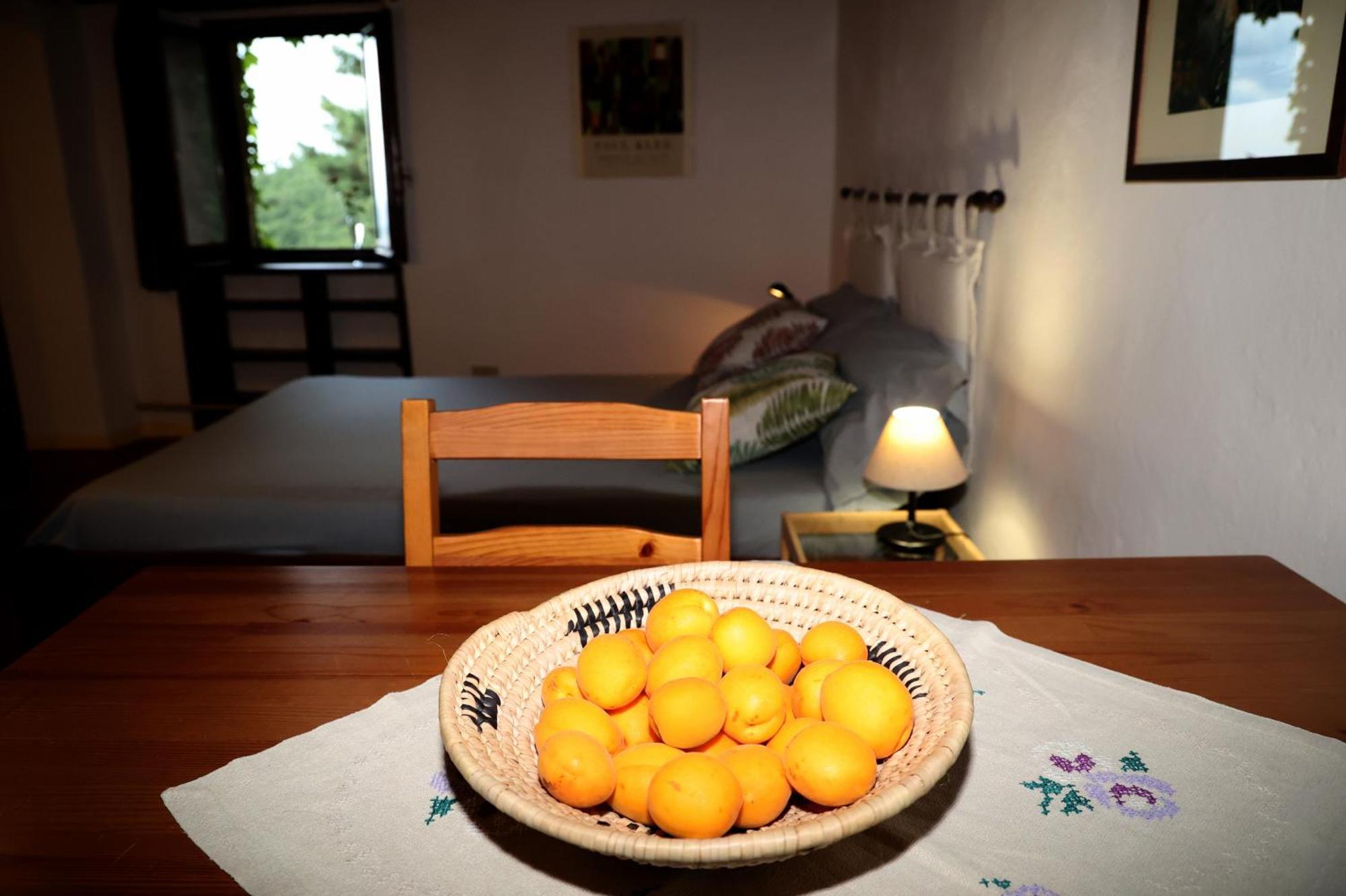 Maison d'hôtes Casa Marju à Montemassi Extérieur photo